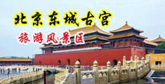 颜射内射中国北京-东城古宫旅游风景区